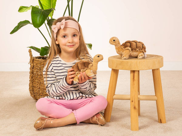 Tortue 20 cm - peluche - peluche