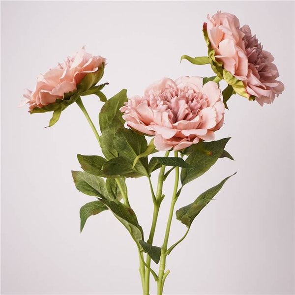 Tige de pivoine 23,5" avec revêtement hydratant au toucher réaliste: Begonia Pink