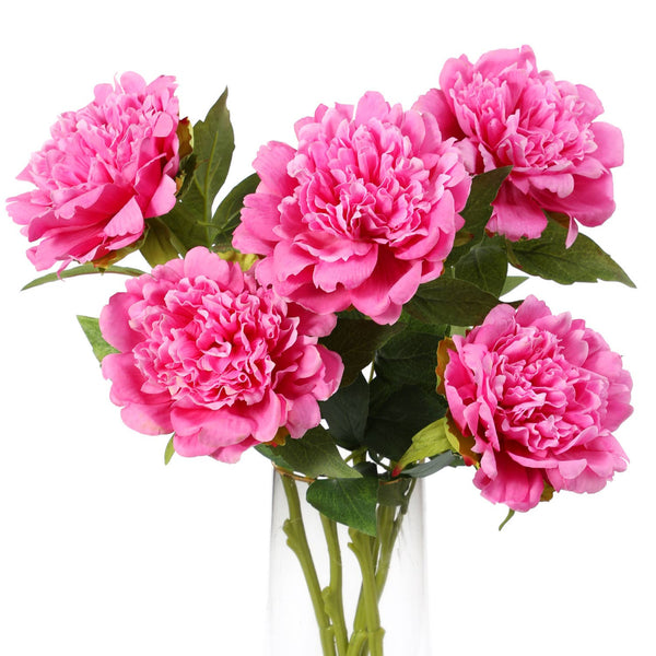 Tige de pivoine 23,5" avec revêtement hydratant au toucher réaliste: Begonia Pink