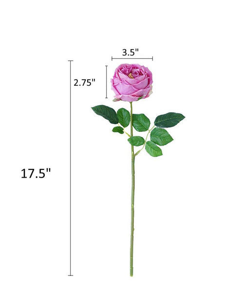Tige de rose chou Austin anglaise premium de 17" ou 24" en vrai toucher: Blanc pur