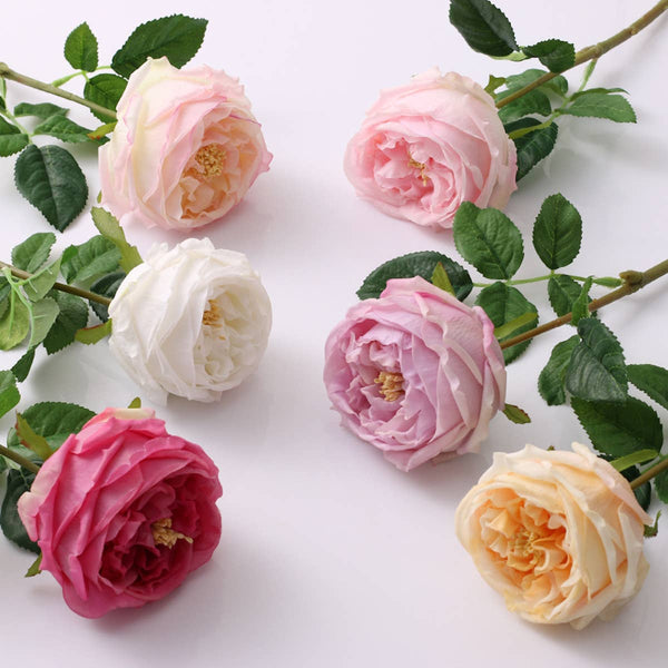 Tige de rose chou Austin anglaise premium de 17" ou 24" en vrai toucher: Blanc pur