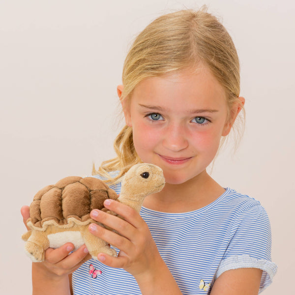 Tortue 20 cm - peluche - peluche