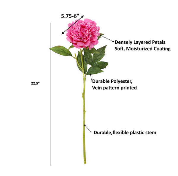 Tige de pivoine 23,5" avec revêtement hydratant au toucher réaliste: Begonia Pink