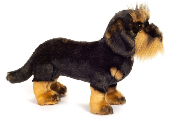Teckel à poil métallique debout 28 cm - peluche - peluche