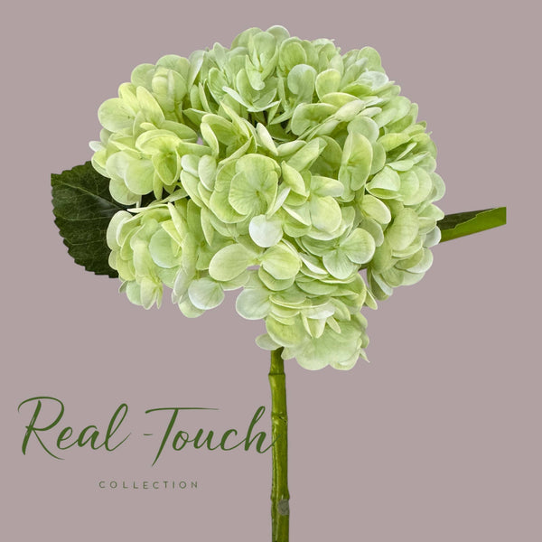 Hydrangée réaliste ultra douce à fleur large de 56 cm: Vert