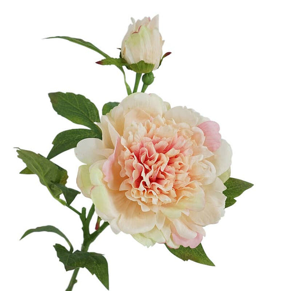 Tige de pivoines réalistes 65 cm avec 2 fleurs - Real Touch: Blanc