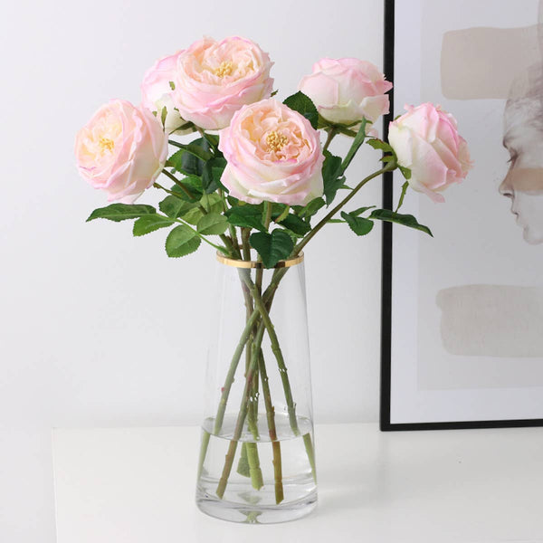 Tige de rose chou Austin anglaise premium de 17" ou 24" en vrai toucher: Blanc pur