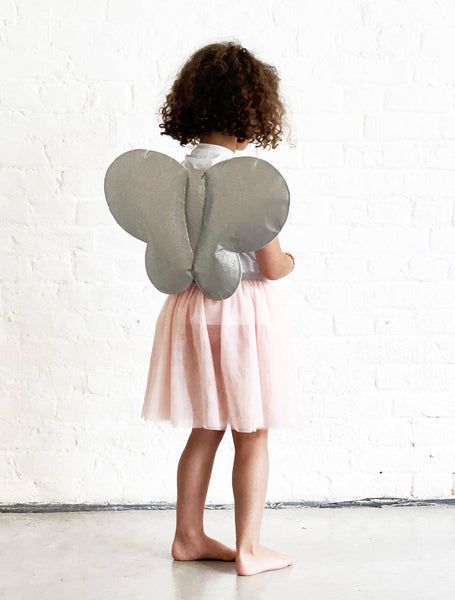 Kit de déguisement papillon rose et argent!