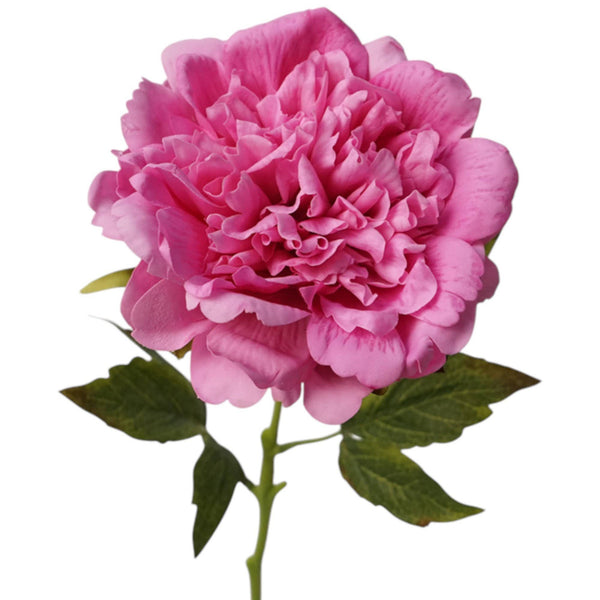 Tige de pivoine 23,5" avec revêtement hydratant au toucher réaliste: Begonia Pink