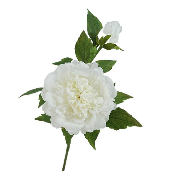 Tige de pivoines réalistes 65 cm avec 2 fleurs - Real Touch: Blanc