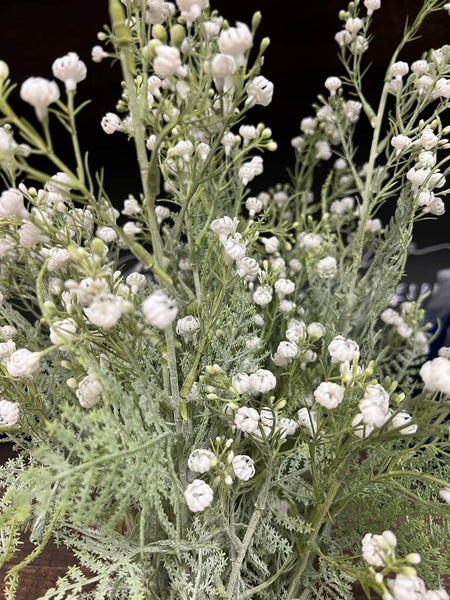 Spray de gypsophile doux givré pour créations décoratives