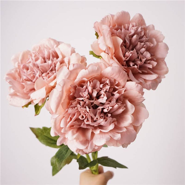 Tige de pivoine 23,5" avec revêtement hydratant au toucher réaliste: Begonia Pink
