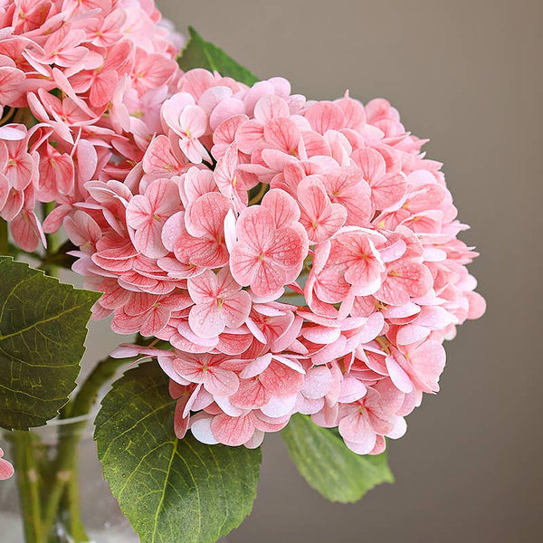 Hydrangée réaliste ultra douce à fleur large de 56 cm: Vert