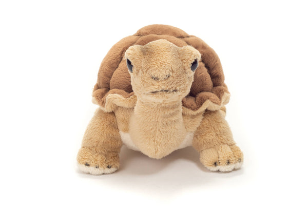 Tortue 20 cm - peluche - peluche