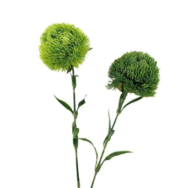 Tiges artificielles boule de dianthus vert réaliste de 55 cm avec tiges vert frais: Vert frais