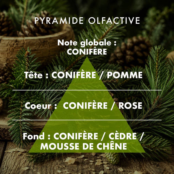 Sapin - Bougie parfumée 180g - Edition Hiver