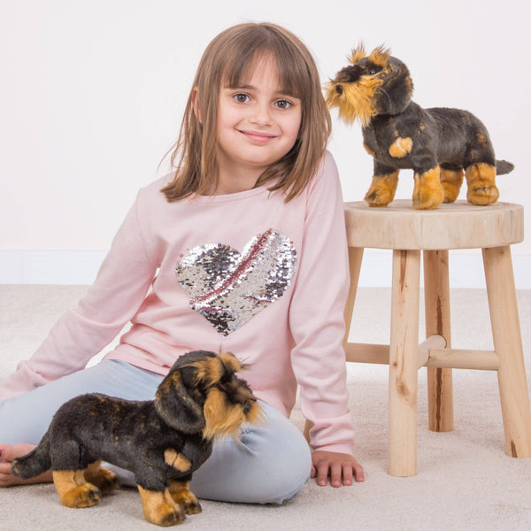 Teckel à poil métallique debout 28 cm - peluche - peluche
