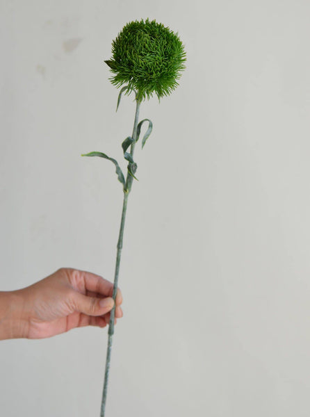 Tiges artificielles boule de dianthus vert réaliste de 55 cm avec tiges vert frais: Vert frais