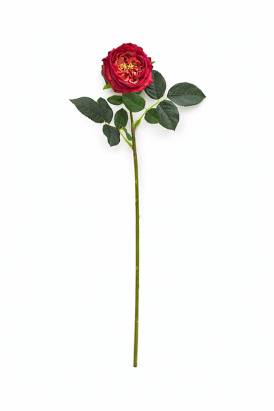 Tige de rose chou Austin anglaise premium de 17" ou 24" en vrai toucher: Blanc pur