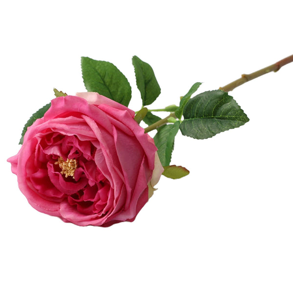 Tige de rose chou Austin anglaise premium de 17" ou 24" en vrai toucher: Blanc pur